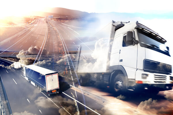 SEGURO PARA TRANSPORTADORA